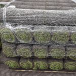 Turf on a pallet