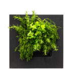 LivePicture GO Living Wall gallery image